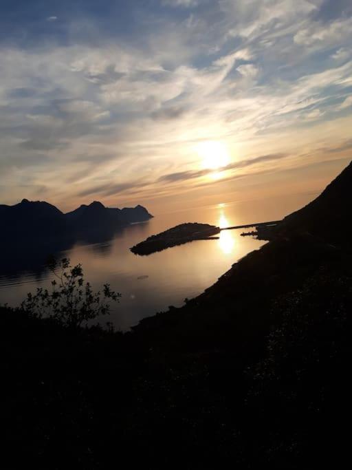 Senja, Husoy I Senja. Leilighet Med Utsikt Over Fjord Og Fjell Tofta Екстер'єр фото