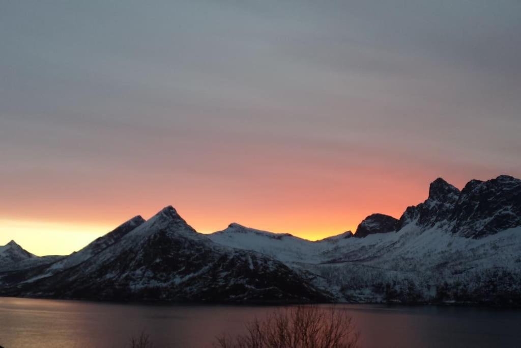 Senja, Husoy I Senja. Leilighet Med Utsikt Over Fjord Og Fjell Tofta Екстер'єр фото