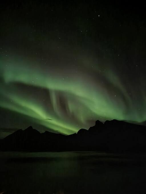 Senja, Husoy I Senja. Leilighet Med Utsikt Over Fjord Og Fjell Tofta Екстер'єр фото